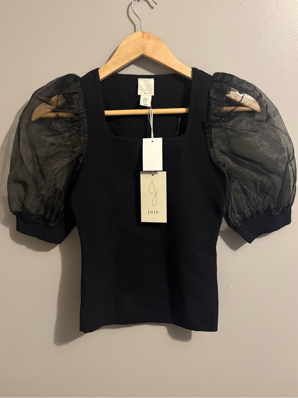 Joie Stretchy Sculpted Sheer Puff Sleeve
